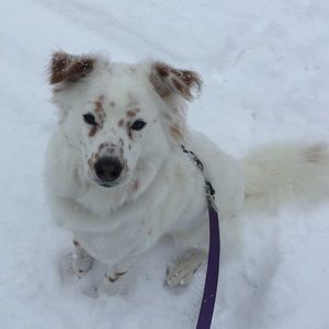 Meet your Posher, Beatrice